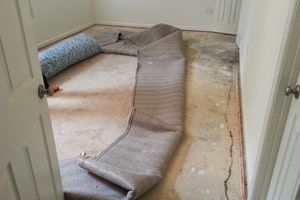 carpet damage restoration