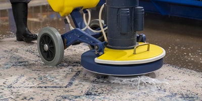 carpet deodorization & sanitization