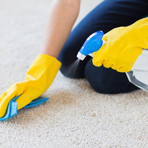 carpet sanitization service