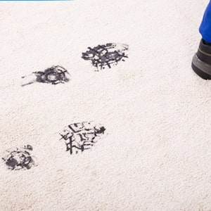 carpet stain removal services