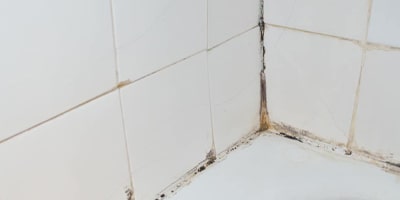 shower tile cleaning