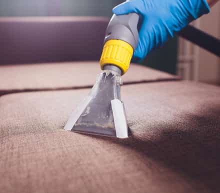 best upholstery cleaning in adelaide