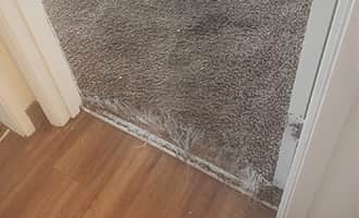Carpet Base Replacement