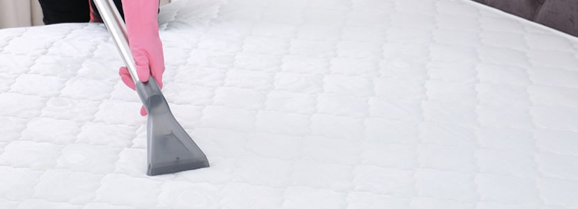 mattress cleaning canberra